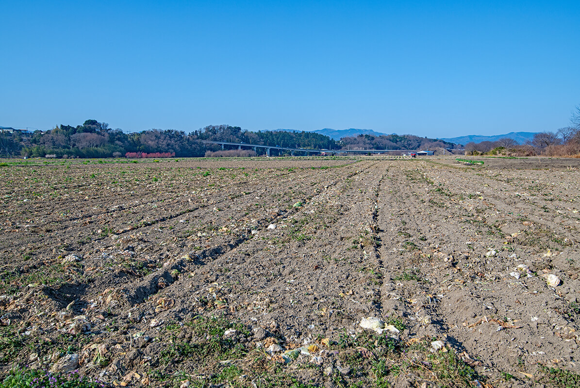 土地の地目変更の費用は?手続き方法も徹底解説 恵比寿の不動産仲介【株式会社スタイルシステム】 土地の地目変更の費用は?手続き方法も徹底解説 恵比寿の不動産仲介【株式会社スタイルシステム】