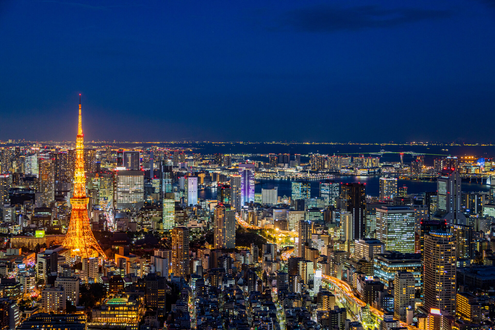 地価 が 上がり そう な 地域 東京